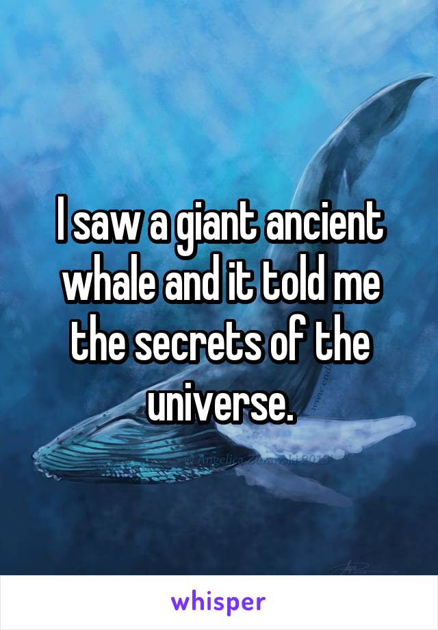 I saw a giant ancient whale and it told me the secrets of the universe.