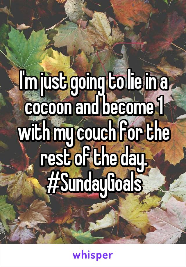 I'm just going to lie in a cocoon and become 1 with my couch for the rest of the day. #SundayGoals