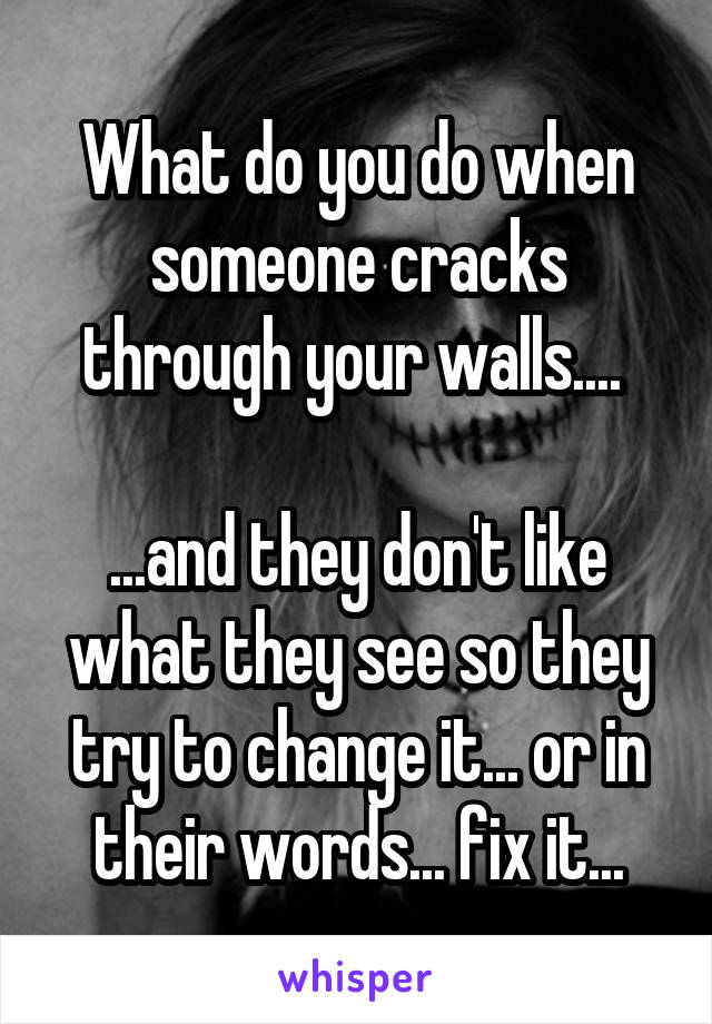 What do you do when someone cracks through your walls.... 

...and they don't like what they see so they try to change it... or in their words... fix it...