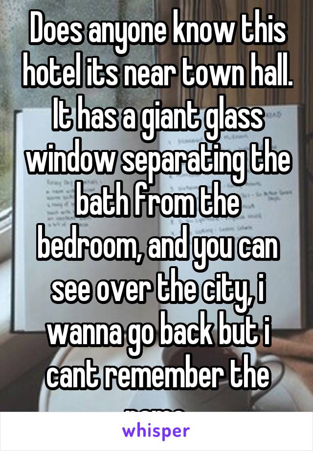 Does anyone know this hotel its near town hall. It has a giant glass window separating the bath from the bedroom, and you can see over the city, i wanna go back but i cant remember the name.