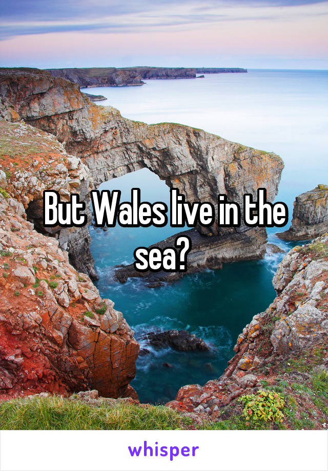 But Wales live in the sea? 