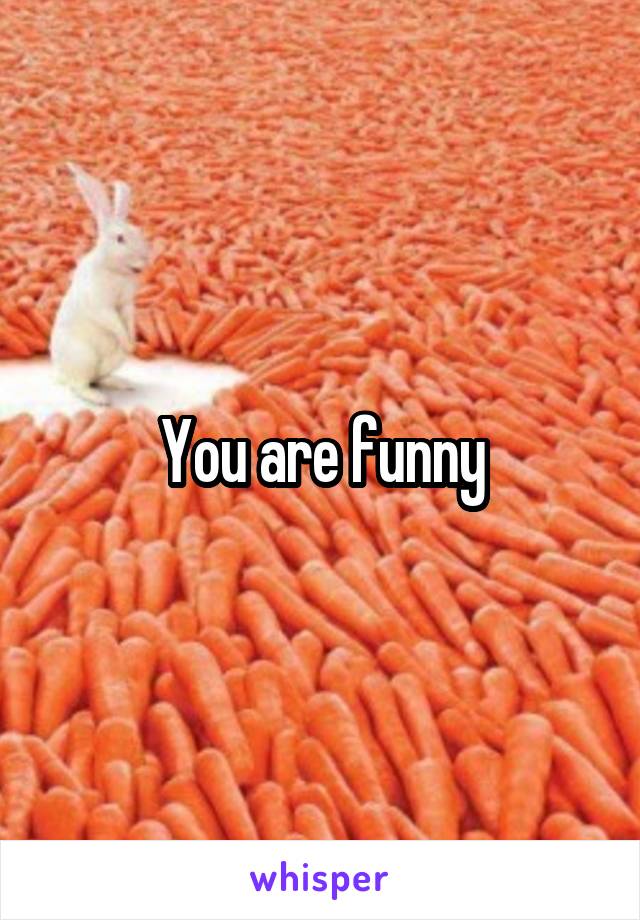 You are funny