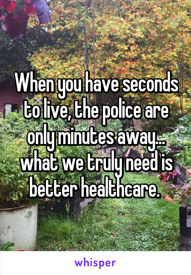 When you have seconds to live, the police are only minutes away... what we truly need is better healthcare. 