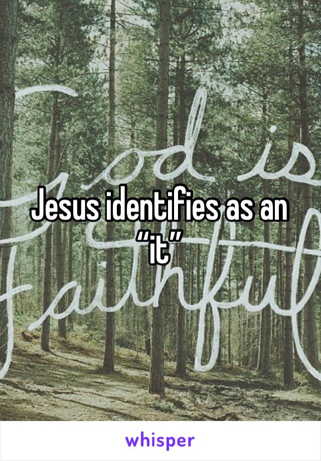 Jesus identifies as an “it”