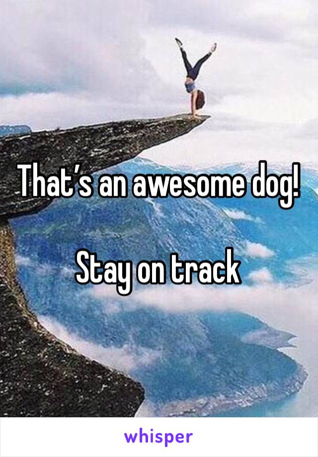 That’s an awesome dog!

Stay on track