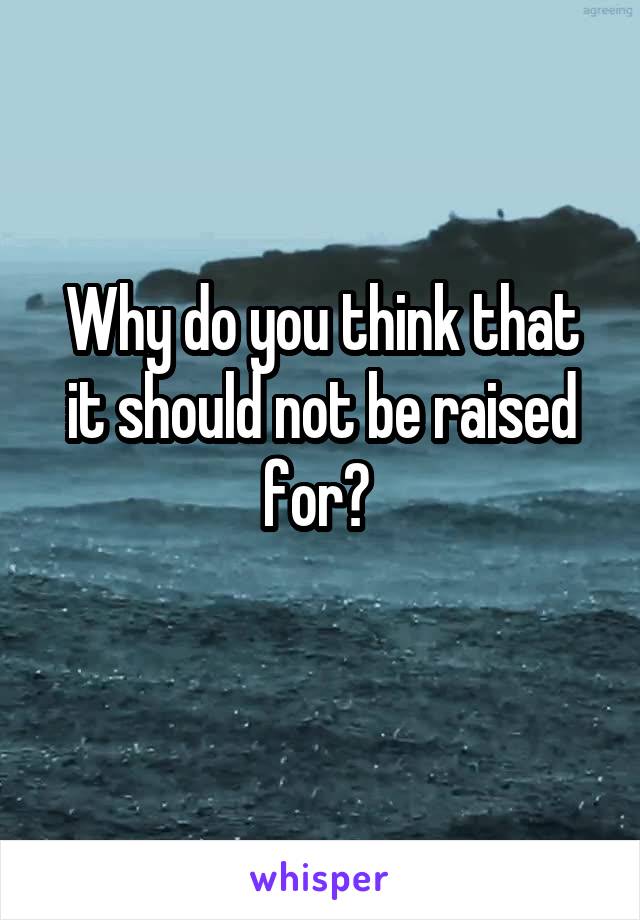 Why do you think that it should not be raised for? 
