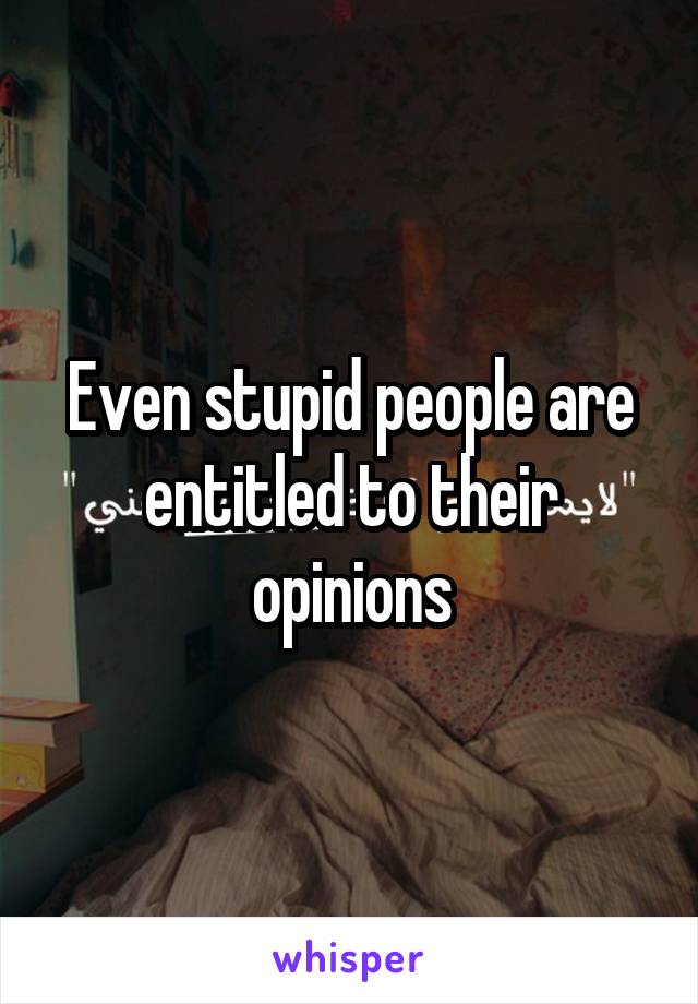 Even stupid people are entitled to their opinions