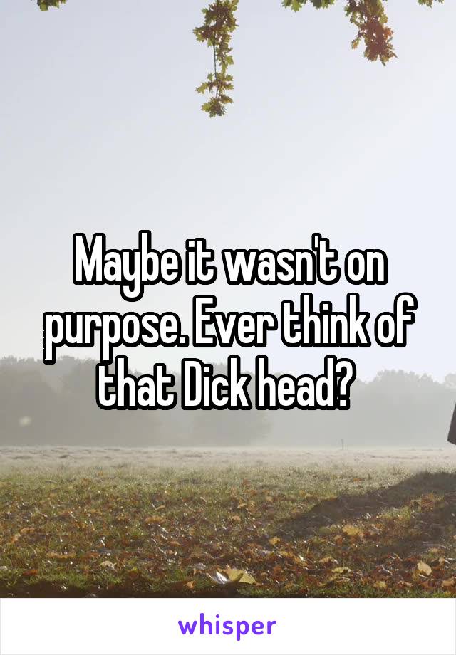 Maybe it wasn't on purpose. Ever think of that Dick head? 