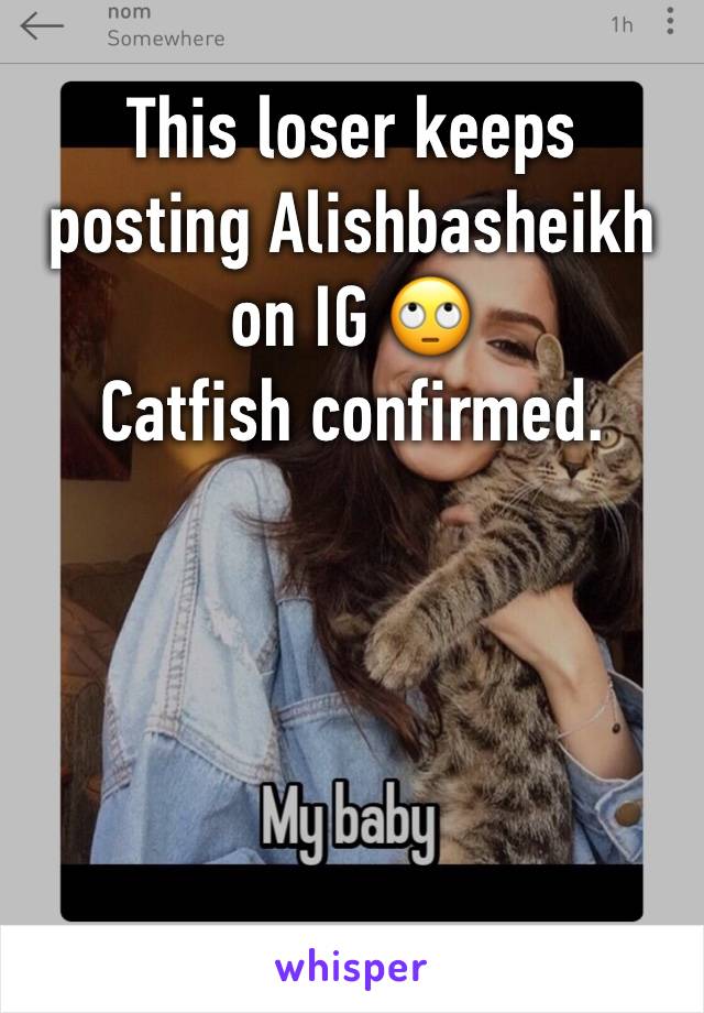 This loser keeps posting Alishbasheikh on IG 🙄 
Catfish confirmed.




