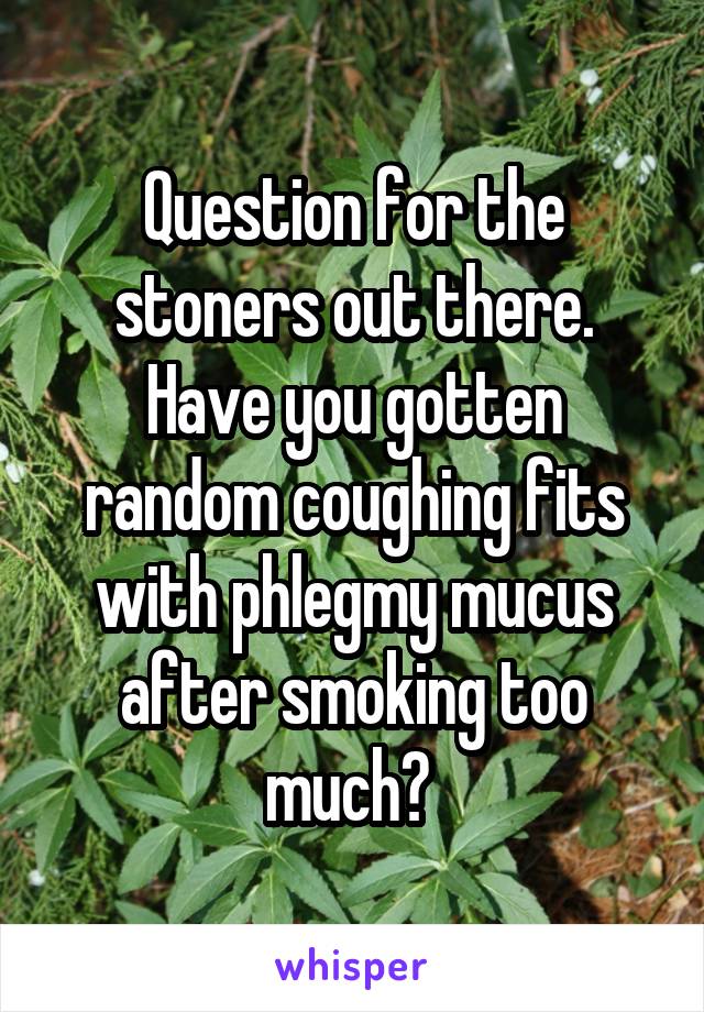 Question for the stoners out there. Have you gotten random coughing fits with phlegmy mucus after smoking too much? 
