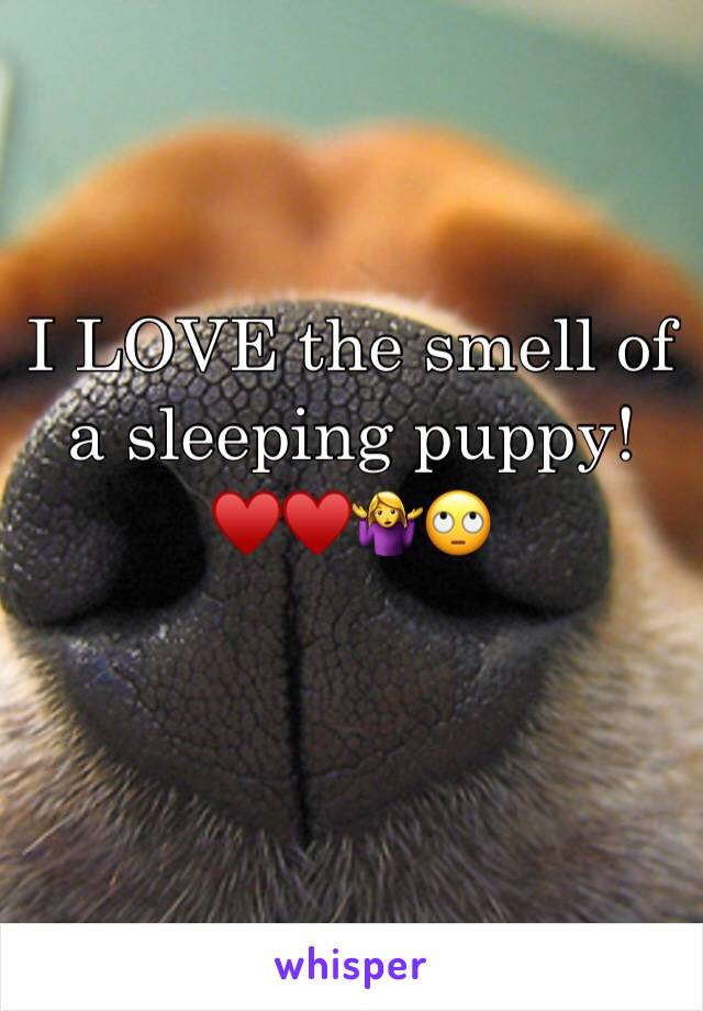 I LOVE the smell of a sleeping puppy! ♥️♥️🤷‍♀️🙄