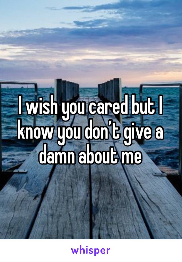 I wish you cared but I know you don’t give a damn about me 