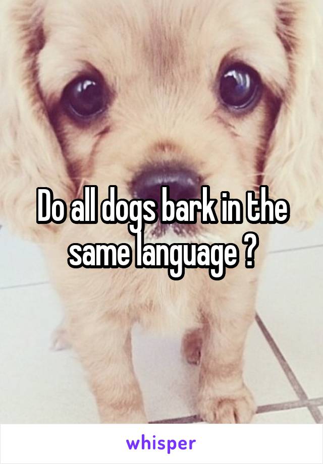 Do all dogs bark in the same language ?