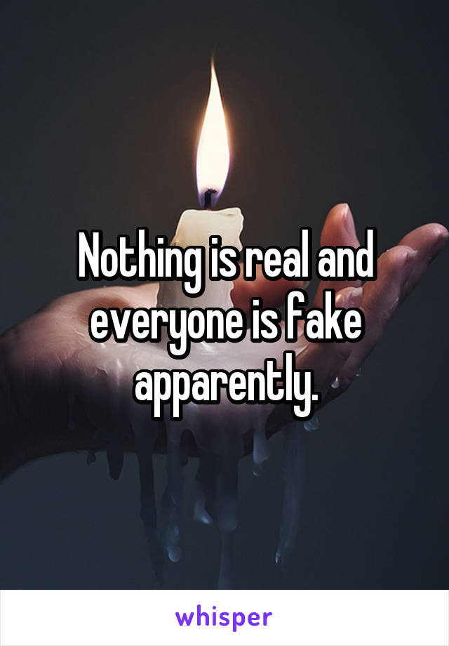 Nothing is real and everyone is fake apparently.