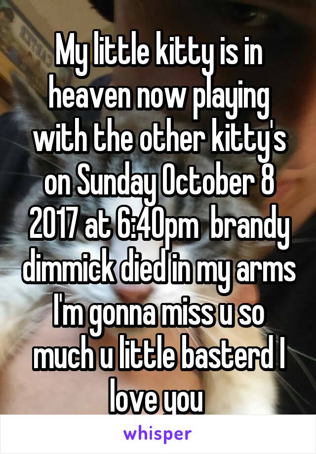 My little kitty is in heaven now playing with the other kitty's on Sunday October 8 2017 at 6:40pm  brandy dimmick died in my arms I'm gonna miss u so much u little basterd I love you 