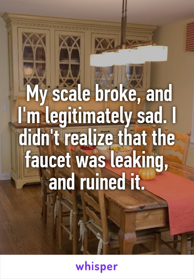  My scale broke, and I'm legitimately sad. I didn't realize that the faucet was leaking, and ruined it.