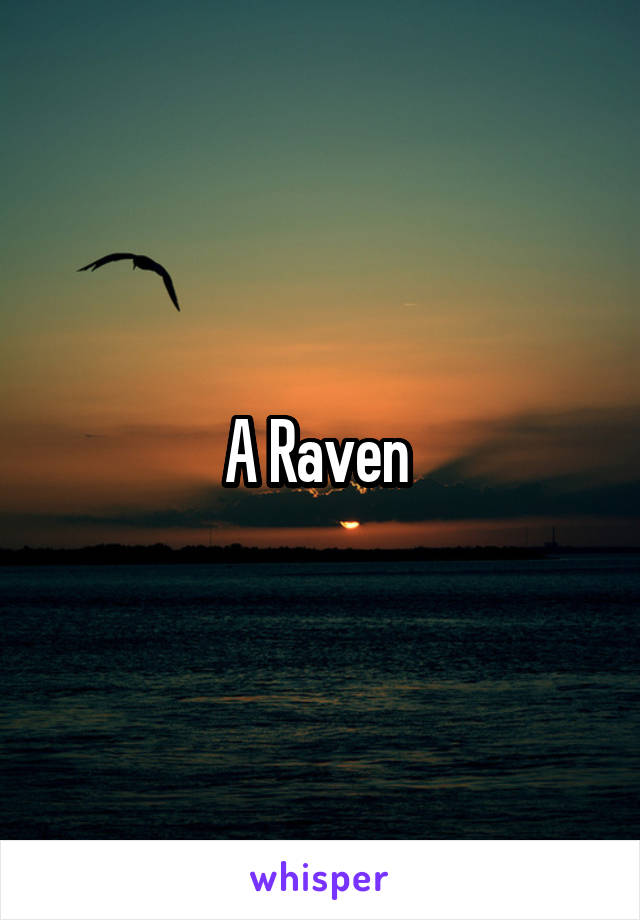 A Raven 