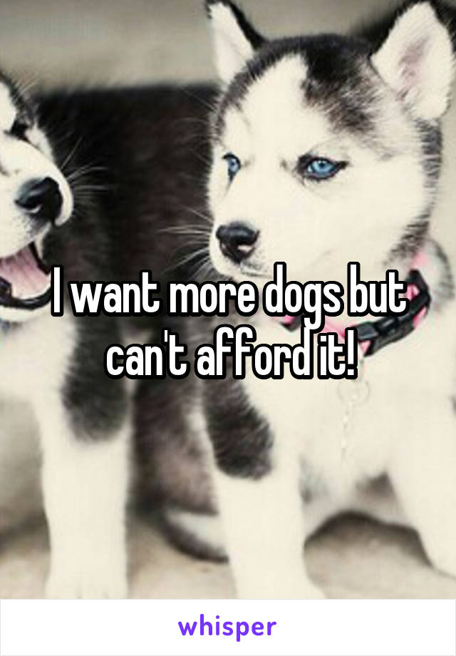 I want more dogs but can't afford it!