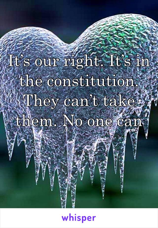 It’s our right. It’s in the constitution. They can’t take them. No one can 