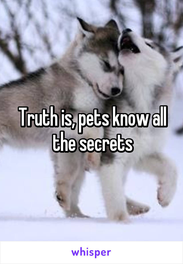 Truth is, pets know all the secrets