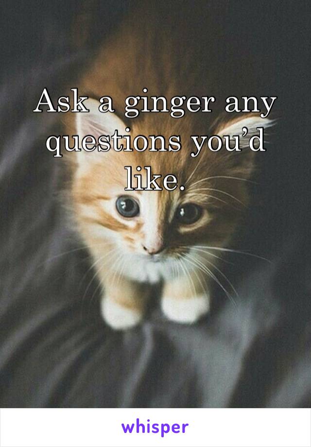 Ask a ginger any questions you’d like. 