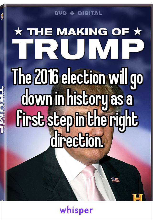 The 2016 election will go down in history as a first step in the right direction.