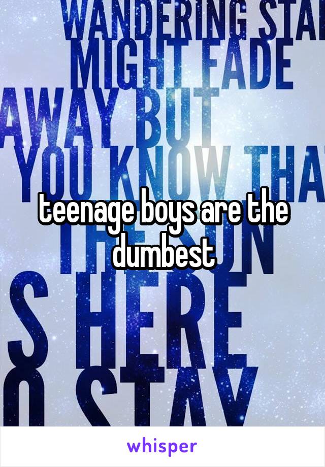 teenage boys are the dumbest