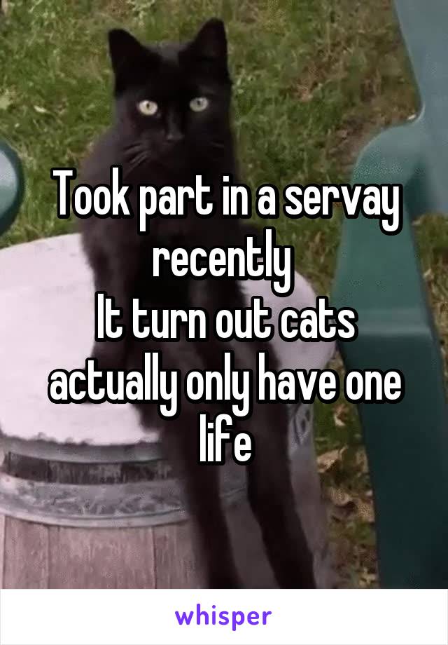 Took part in a servay recently 
It turn out cats actually only have one life
