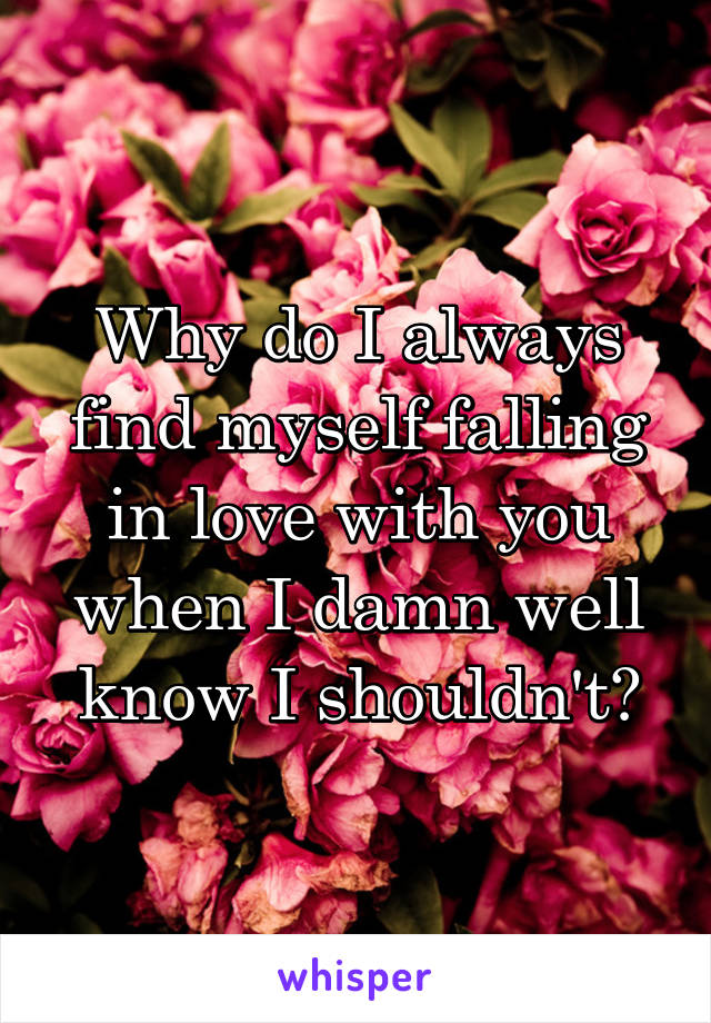 Why do I always find myself falling in love with you when I damn well know I shouldn't?