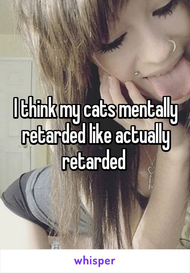 I think my cats mentally retarded like actually retarded 