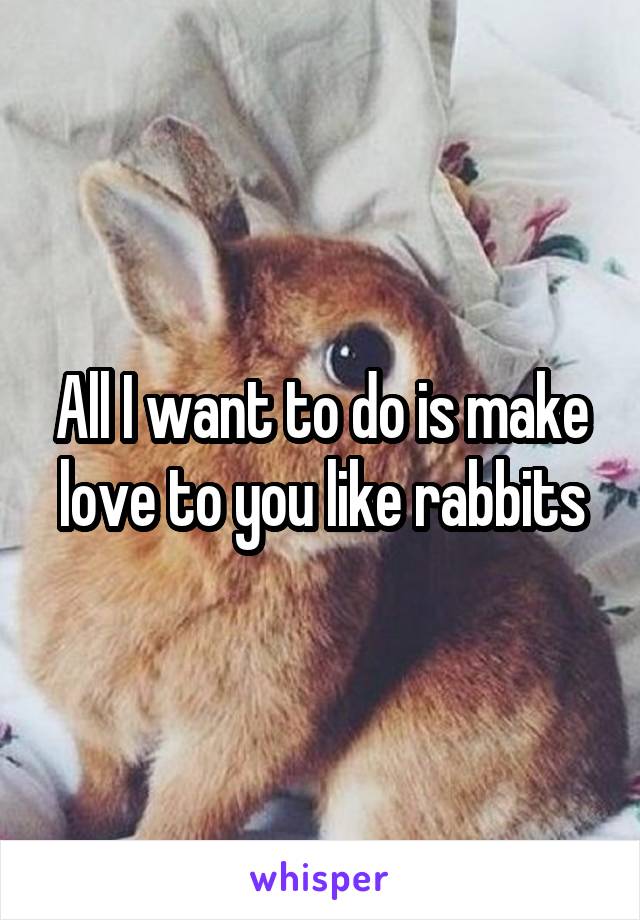 All I want to do is make love to you like rabbits