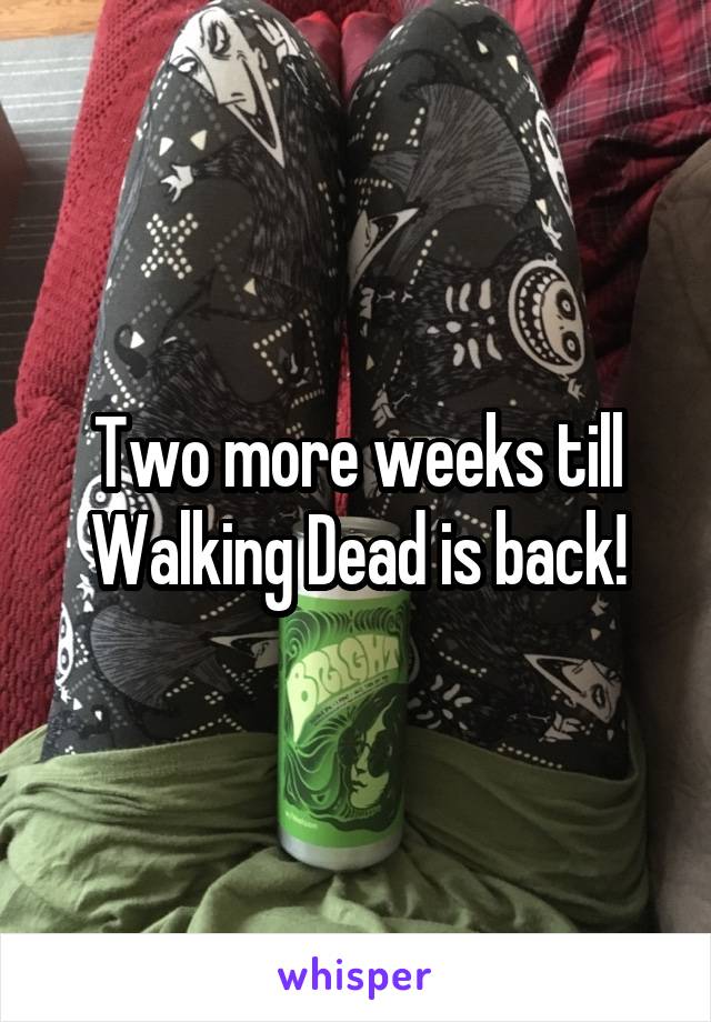 Two more weeks till Walking Dead is back!