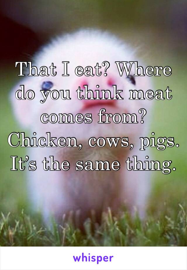 That I eat? Where do you think meat comes from? Chicken, cows, pigs. It’s the same thing.