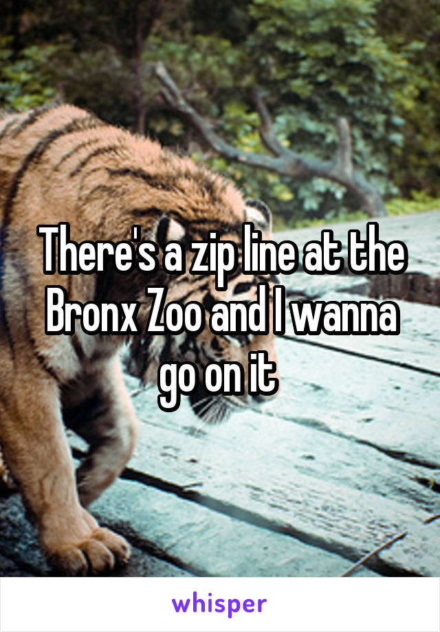 There's a zip line at the Bronx Zoo and I wanna go on it 