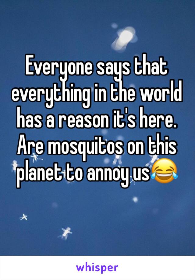 Everyone says that everything in the world has a reason it's here. Are mosquitos on this planet to annoy us😂