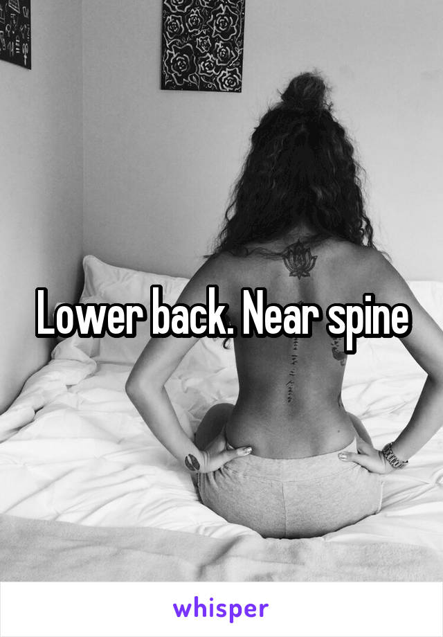 Lower back. Near spine