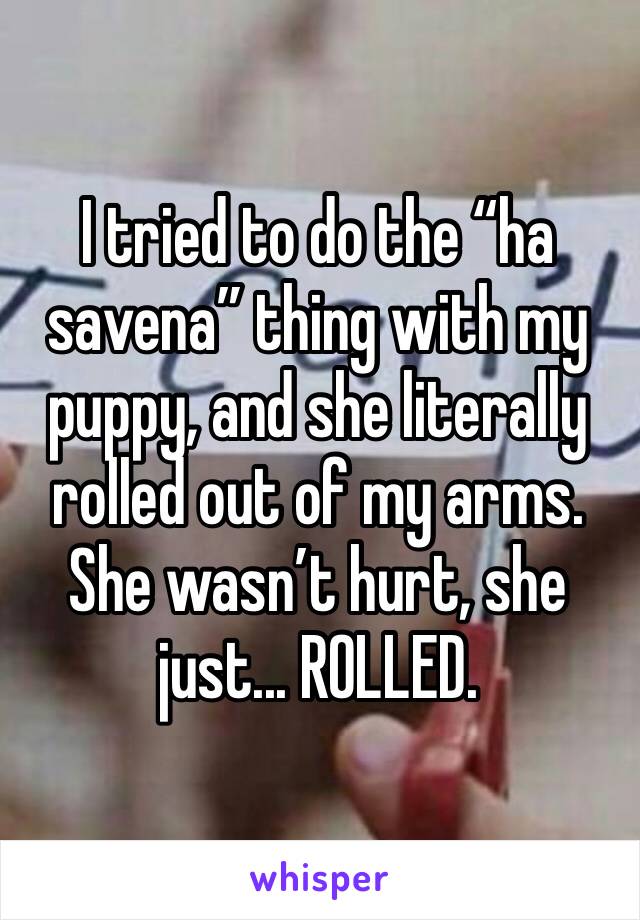 I tried to do the “ha savena” thing with my puppy, and she literally rolled out of my arms.  She wasn’t hurt, she just... ROLLED.