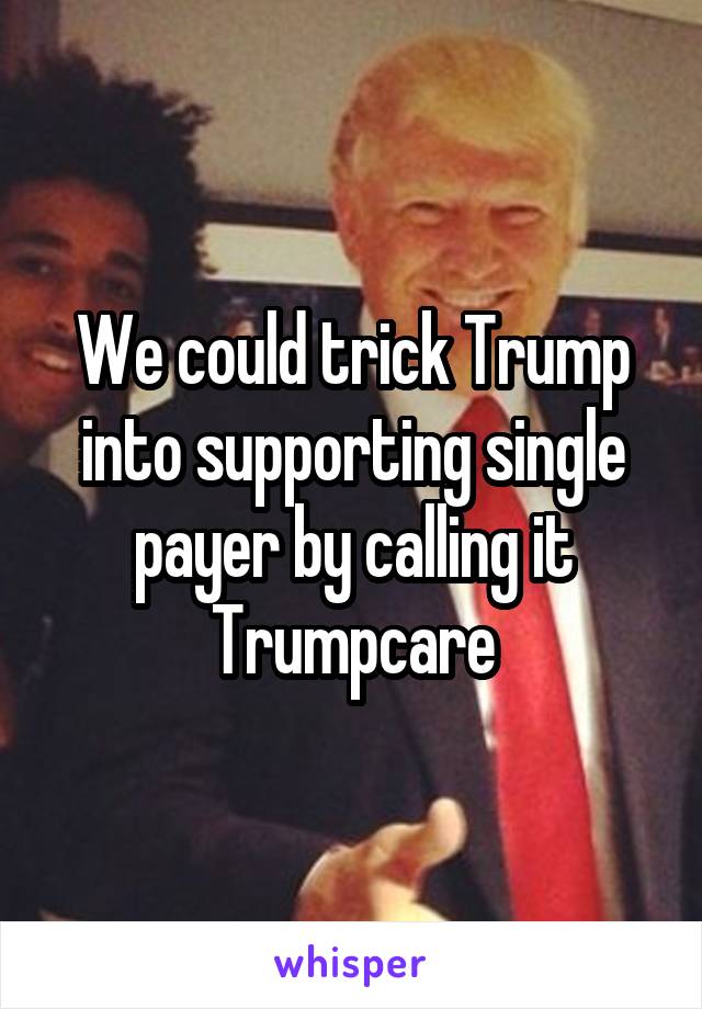 We could trick Trump into supporting single payer by calling it Trumpcare
