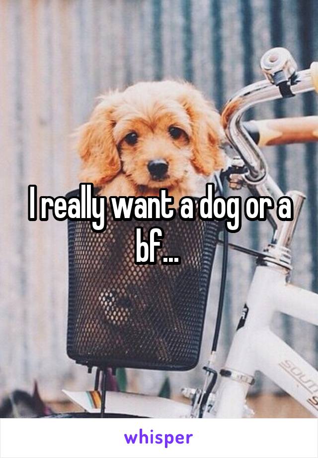 I really want a dog or a bf... 