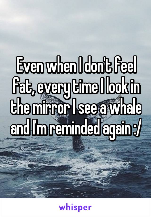Even when I don't feel fat, every time I look in the mirror I see a whale and I'm reminded again :/ 