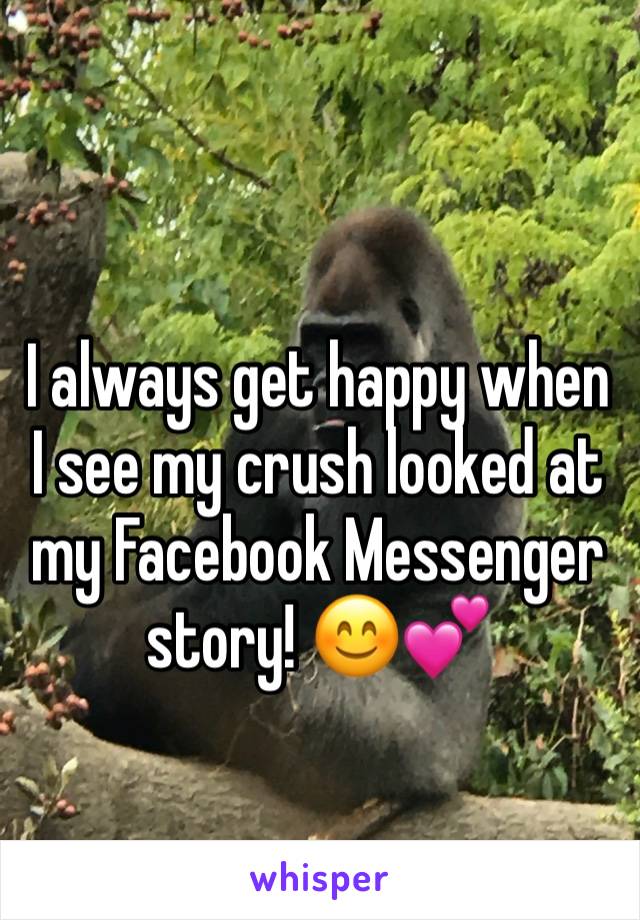 I always get happy when I see my crush looked at my Facebook Messenger story! 😊💕