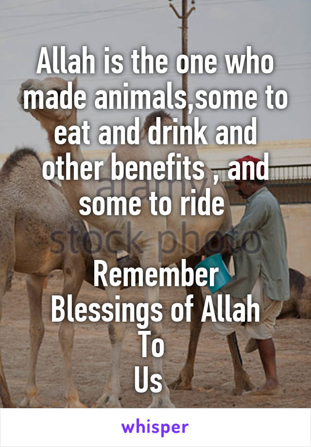 Allah is the one who made animals,some to eat and drink and other benefits , and some to ride 

Remember
Blessings of Allah
To 
Us  