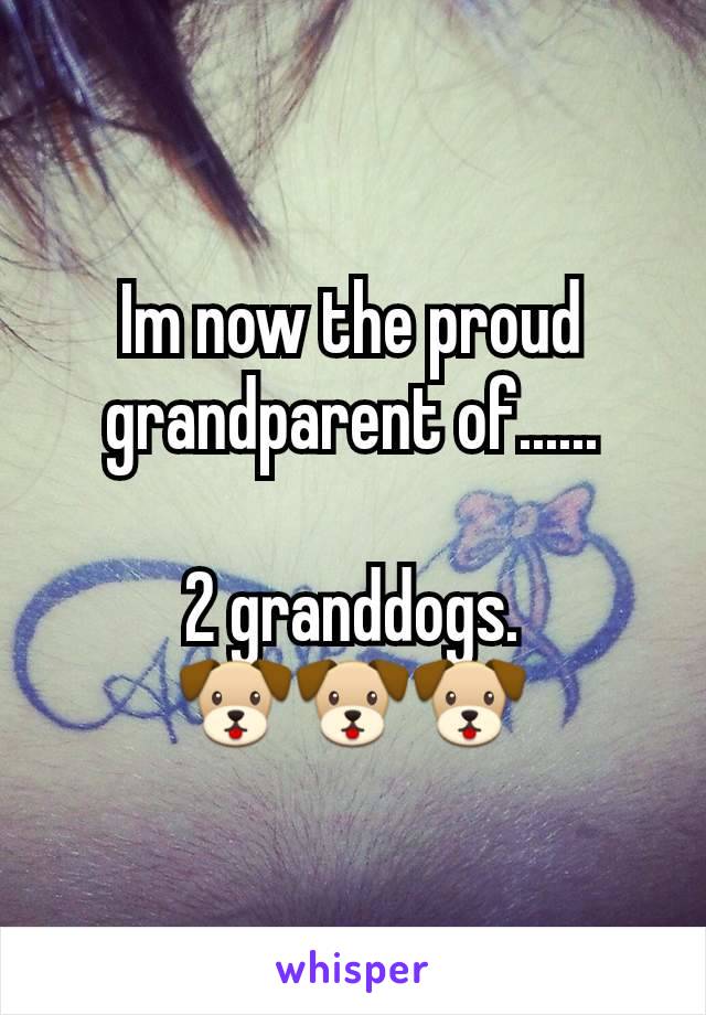 Im now the proud grandparent of......

2 granddogs.
🐶🐶🐶