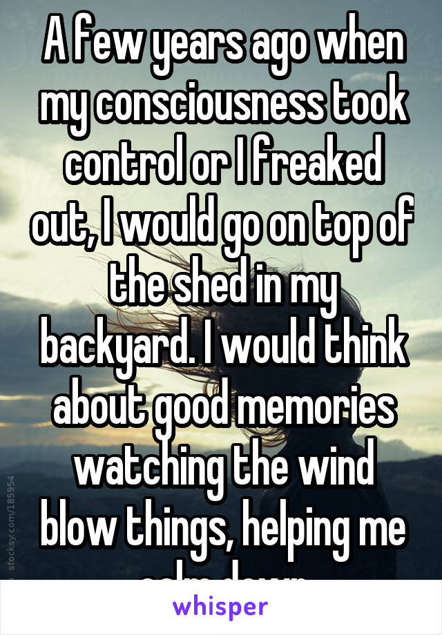 A few years ago when my consciousness took control or I freaked out, I would go on top of the shed in my backyard. I would think about good memories watching the wind blow things, helping me calm down