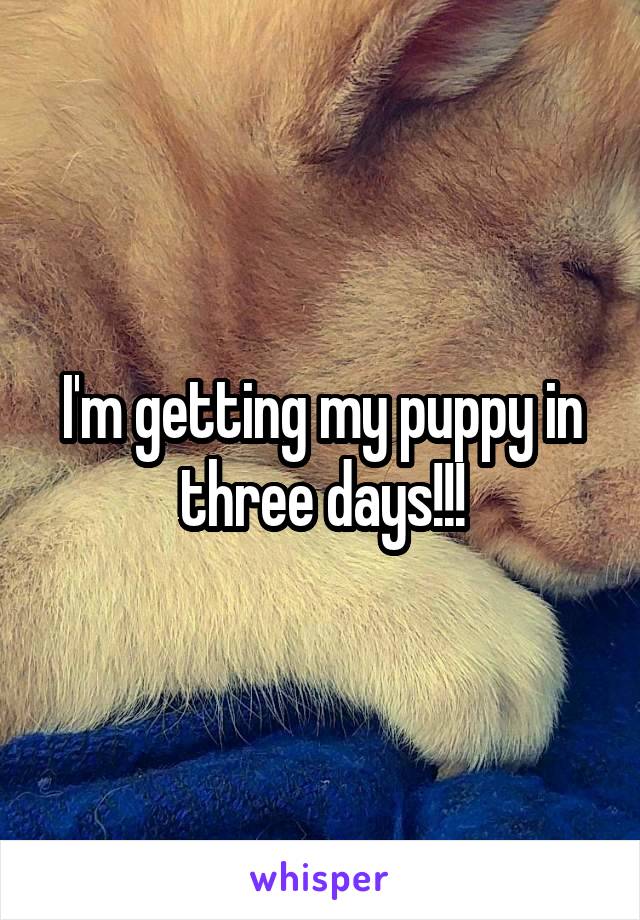 I'm getting my puppy in three days!!!