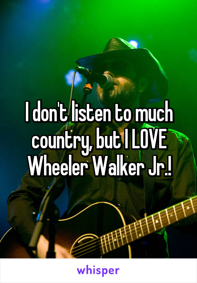 I don't listen to much country, but I LOVE Wheeler Walker Jr.!