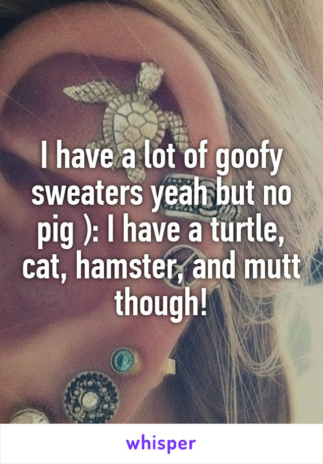 I have a lot of goofy sweaters yeah but no pig ): I have a turtle, cat, hamster, and mutt though!