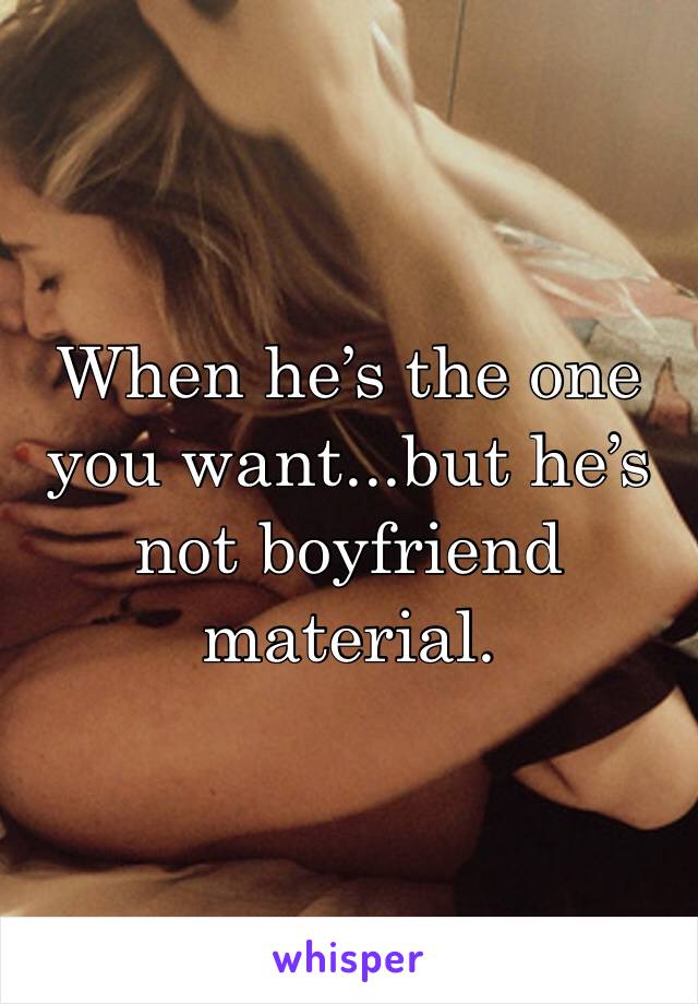 When he’s the one you want...but he’s not boyfriend material. 