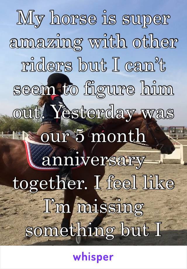 My horse is super amazing with other riders but I can’t seem to figure him out. Yesterday was our 5 month anniversary together. I feel like I’m missing something but I don’t know what.
