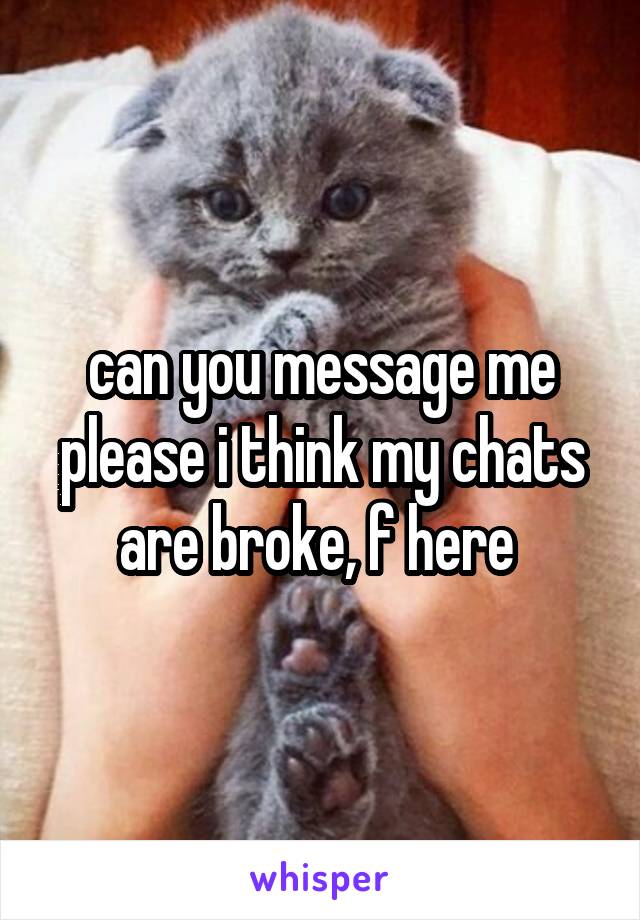 can you message me please i think my chats are broke, f here 